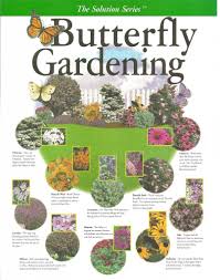 Create Your Own Butterfly Garden Pinlavie Com Butterfly Garden Hummingbird Garden Garden Planning