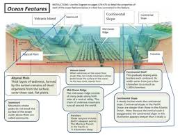 Ocean Floor Topography And Features 6 638 Jpg Ocean Continental Shelf Pics