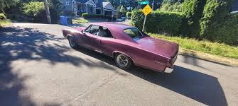 Image result for Champagne Mist 1967 GM