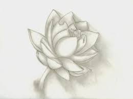 Download gambar sketsa pohon beringin sketsa gambar pohon tumbuhan via gambar.co.id. Sketsa Gambar Bunga Berikut Cocok Untuk Kamu Yang Masih Belajar Membuat Sebuah Sketsa Sebelum Membuat Sketsa Pe Flower Sketches Flower Drawing Sketches Of Love