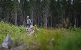 One Tree Planted Tree Planting Charity One Dollar Plants One Tree The tallest trees in the world, coast redwoods, grow within a narrow sliver of land on the california coast, from just south of the bay area up to the. one tree planted tree planting