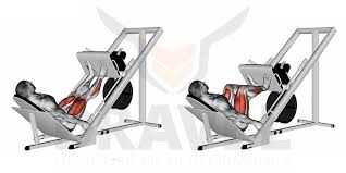 Pour réaliser l'exercice, nous vous conseillons de cliquer sur l'image afin de voir la vidéo. Le Top 5 Des Exercices Pour Les Cuisses Dravel