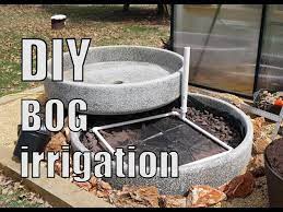 Building A Diy Bog Garden Part 1 Youtube