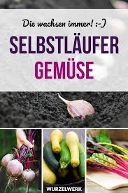 Gemusegarten Fur Anfanger 9 Gemuse Die Jeder Hinkriegt Wurzelwerk Garten Bepflanzen Garten Anpflanzen Gemusebeet