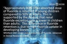 the bio accumulation of fluoride a response to nhmrc