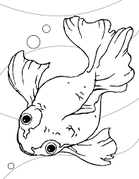 fish coloring pages ile ilgili görsel sonucu
