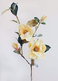 Pin On Wedding Colors