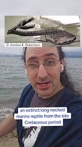 Discover the Provincial Fossil of British Columbia