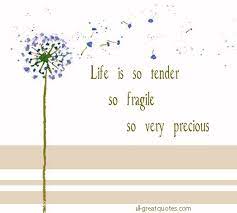 Life is short and fragile quotes sayings showing search results for life is short and fragile sorted by relevance. Quotes About Life Being Fragile Quotesgram