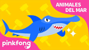 The tiburon martillo is owned by the galapagos national park service (gnps). Tiburon Martillo Animales Del Mar Pinkfong Canciones Infantiles Youtube