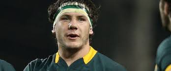 Arno Botha: Springbok flanker lauds Rory Best as he prepares for move to  Ulster