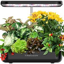 These home gardeners will eat freshly cut vegetables full of organoleptic and nutritional properties, and enjoy the impactful flavors of crops. Top 30 Best Hydroponics System And Kit Ideas Inside Herb Gardens
