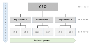 organizational structures an explanation ionos