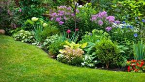 Check spelling or type a new query. Garten Gestalten Mit Wenig Geld Tipps Und Tricks Fur Gunstige Begrunung