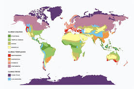 Mapa Del Mundo Con Las Zonas Climaticas Los Climas Del Mundo Profesores De Historia Tipos De Clima