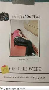 The broccoli says 'i look like a small tree', the mushroom says 'i look like an umbrella', the walnut says 'i look like a brain', and the banana says 'can we please change the subject?'. Tip Of The Day Funny Pictures Quotes Pics Photos Images Videos Of Really Very Cute Animals