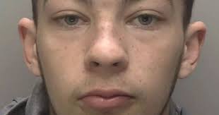 Young drug dealer found in flat with caged XL Bullies he was 'paid £50 a  day to look after'