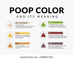 Image result for acholic stools human