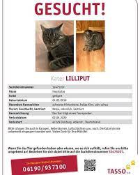 Check spelling or type a new query. Verein Vermisste Katzen Posts Facebook