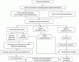 Image result for Fecal Incontinence