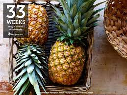 How Big Is My Baby Week By Week Fruit And Veggie Comparisons Babycenter Baby Fruit Baby Weeks Baby Size By Week