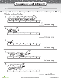 Measuring Bug Inches Worksheet Education Com Measurement Worksheets Worksheets Kindergarten Worksheets
