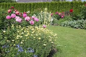 Posts About Uncategorized On Kitokie Augalai Uncategorized Rasa Post