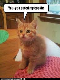 Maybe you would like to learn more about one of these? Image 87159 I Made You A Cookie But I Eated It Know Your Meme