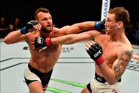 The home of ultimate fighting championship. Mma Profi Jessin Ayari Vor Spitzenkampf In Der Ufc Weltklassekampfer Aus Nurnberg Auf Fight Island In Abu Dhabi Nurnberg