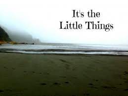Small things sometimes mean a whole lot! Enjoying The Small Things The Confident Mom