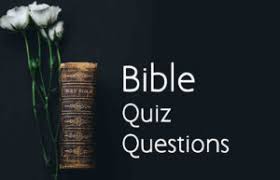 No matter where you place your faith or if you are religious at all, you likely have enough awareness about the stories and lessons from the pages of the bible. 100 Bible Quiz Questions Answers Bible Trivia Topessaywriter