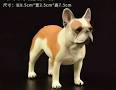 French Bulldog (Frenchie) Puppies For Sale - AKC PuppyFinder