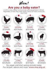 Farm Animal Life Expectancy Vegan Animals Animal Rights Reasons To Be Vegan