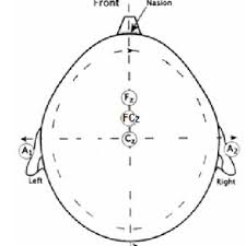 This is a common pattern used in unix/linux environments to bundle multiple files for easier distribution or. Placement Of The Three Central Electrodes Fz Fcz Cz And The Two Download Scientific Diagram