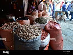 Image result for Aframomum corrorima