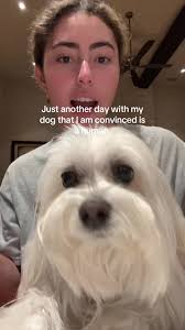 Cachorro Branco Que Parece Humano