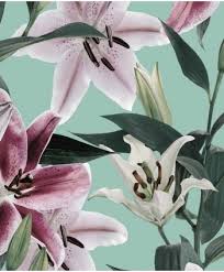 Floral pattern stock photos (total results: Wallpaper With Big Floral Pattern Mint
