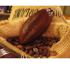 Le Chocolat Etape 2 La Transformation Des Feves Le Blog D Initiatives