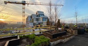 Terwijl de ene aannemer op het (oud) zuid al de contouren van het plein boven de nieuwe parkeergarage in het voormalige steendok zichtbaar maakt, heeft een andere niet stilgezeten met de aanleg van een parkje in het nieuw zuid. Nieuw Stadsbos Van Vijf Hectare Op Scheldekaaien Nieuw Zuid Antwerpen Hln Be
