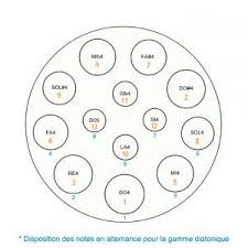 Spacedrum Evolution 13 Notes Chromatique Housse Instruments Gamme Chromatique Chromatique