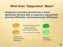 Epigenetics Mediated Gene Regulation In Plants Epigenetics Mediation Gene