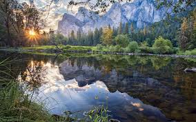 Today bright side has collected for you works in which the combined efforts of mother nature and photographic artists have captured magic moments showing the wondrous diversity of. Nature S Best Photography Contest Sierra Club