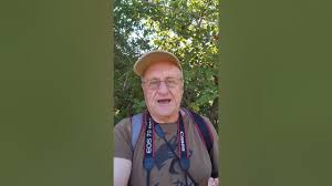 Image result for Bridelia mollis