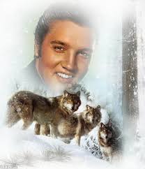 Good night my friends ❤️ thank you for all your lovely comments today, see  you all tomorrow sweet dreams everyone 🥰 good night candy have a lovely  evening my bestie 🥰 ❤️