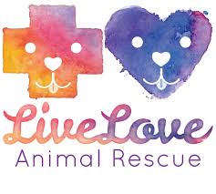 Maybe you would like to learn more about one of these? Live Love Animal Rescue Dog Rescue Dog Adoption