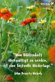 50 Gartenzitate Zum Nachdenken Und Schmunzeln Plant Happy Garten Zitate Blumen Zitate Nachdenken