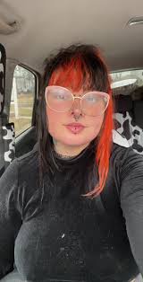 Hammond Indiana Adoption Dog