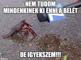 88 hilarious hungry memes of september 2019. Hungarian Meme Explore Tumblr Posts And Blogs Tumgir