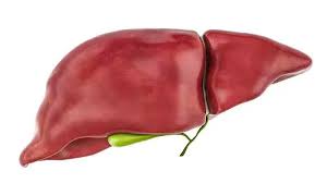 Best Practices for a Healthy Liver - Essential Tips for Liver Disease  Prevention