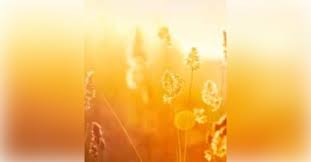 Obituary information for Franklin Gregory Kemble